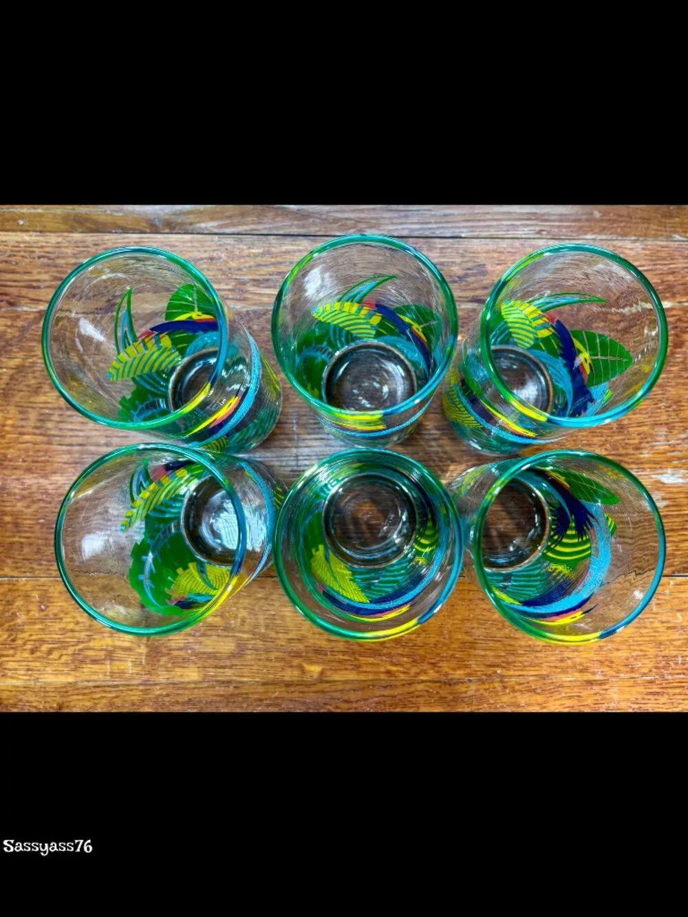🆕VTG▪️ PANACHE▪️ Set of 6 Tropical Bird 12 oz Tall Tumbler Highball Glasses